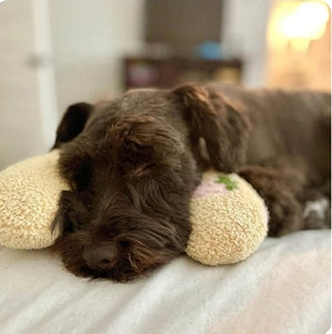 Almohada Cuello Para Mascotas