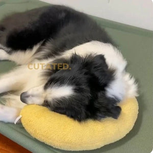 Almohada Cuello Para Mascotas