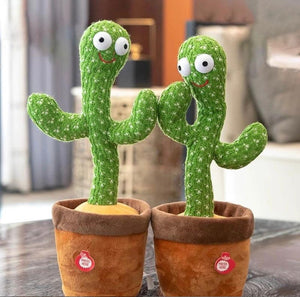 Cactus Bailarin Imita Voz Musical